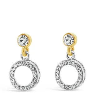 Absolute Gold & Silver Drop Earrings