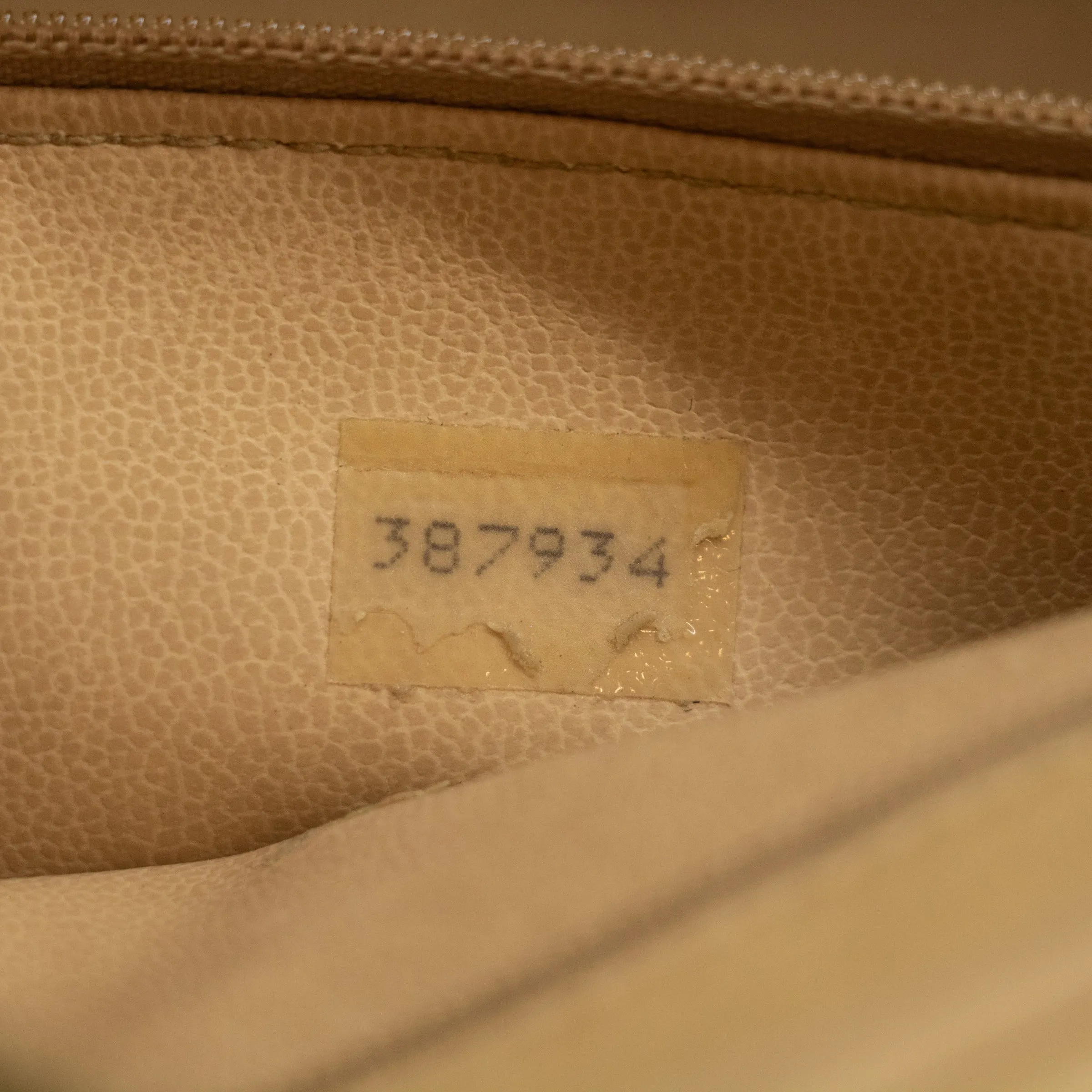 Chanel Lambskin Chevron Beige Camera Bag   #2567