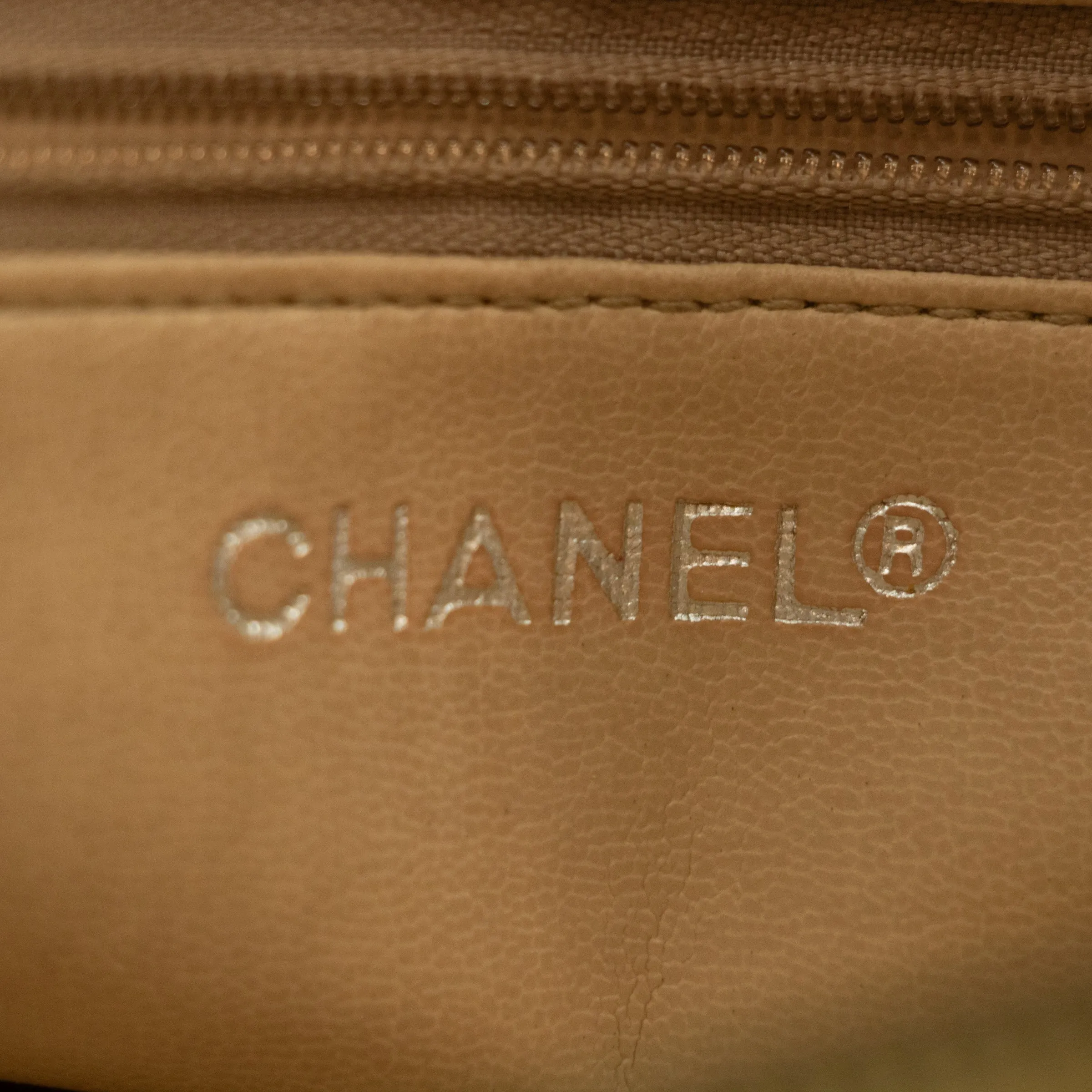 Chanel Lambskin Chevron Beige Camera Bag   #2567