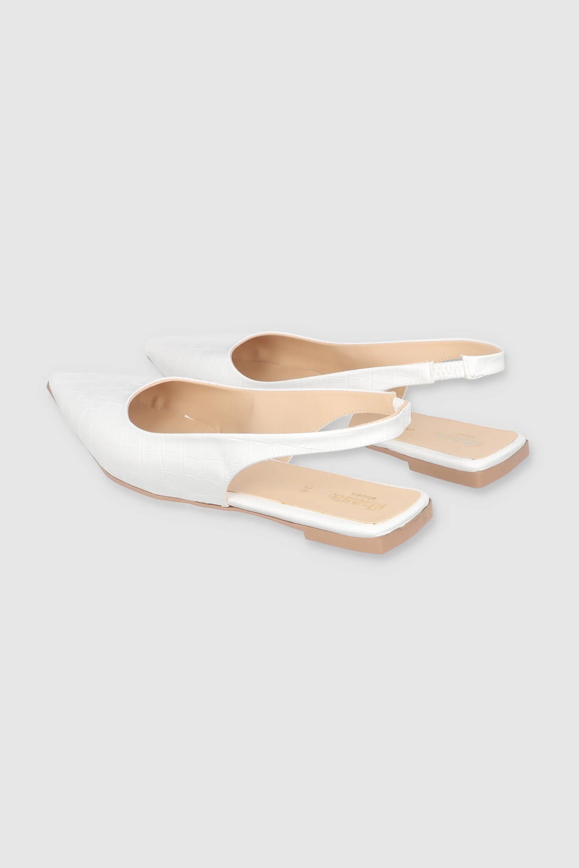 Flat Pointy Croco