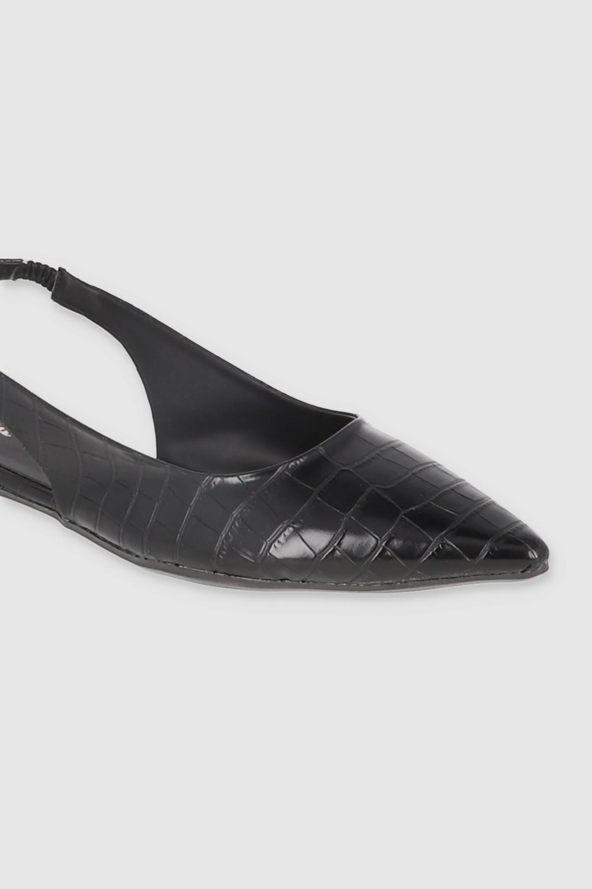 Flat Pointy Croco