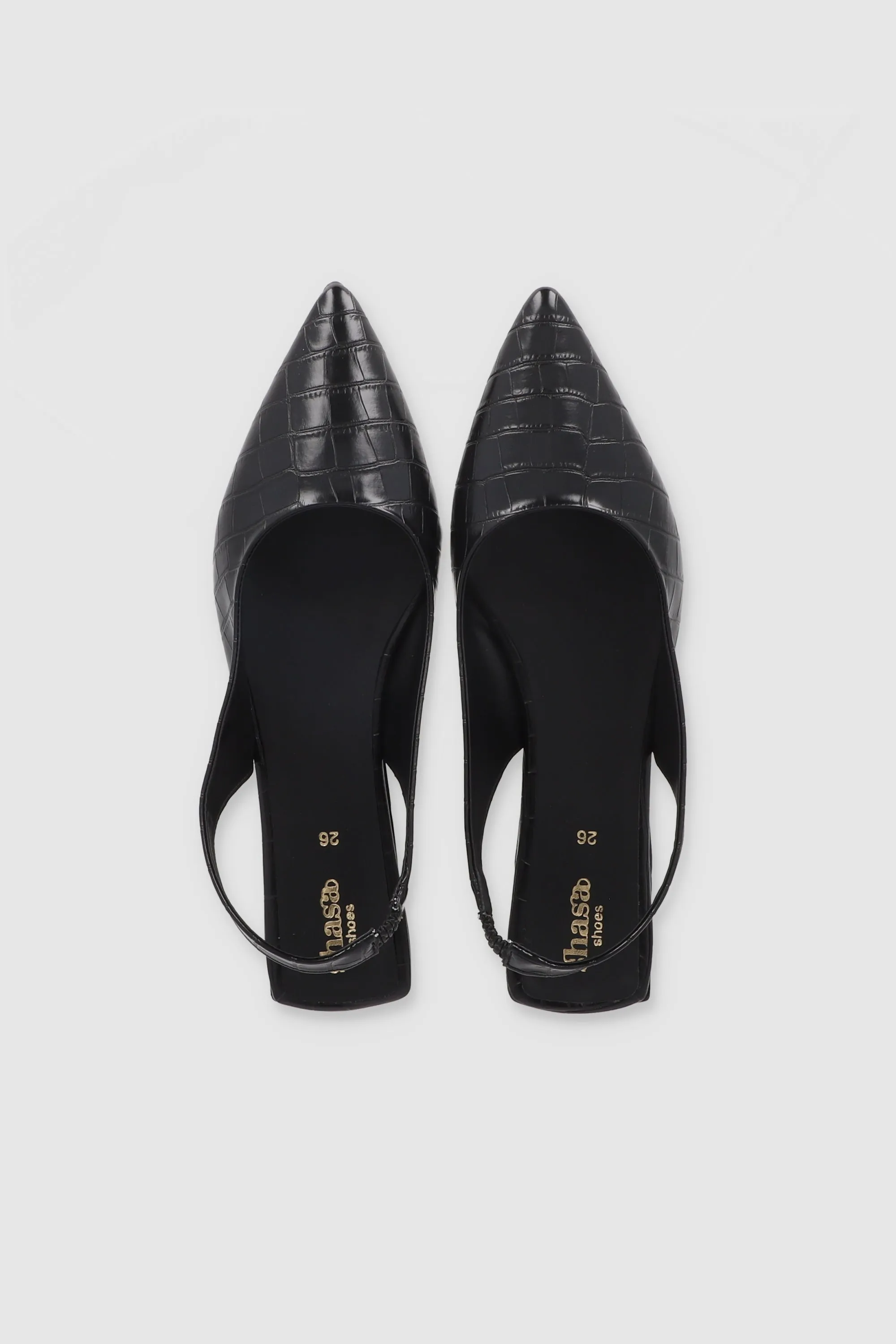 Flat Pointy Croco