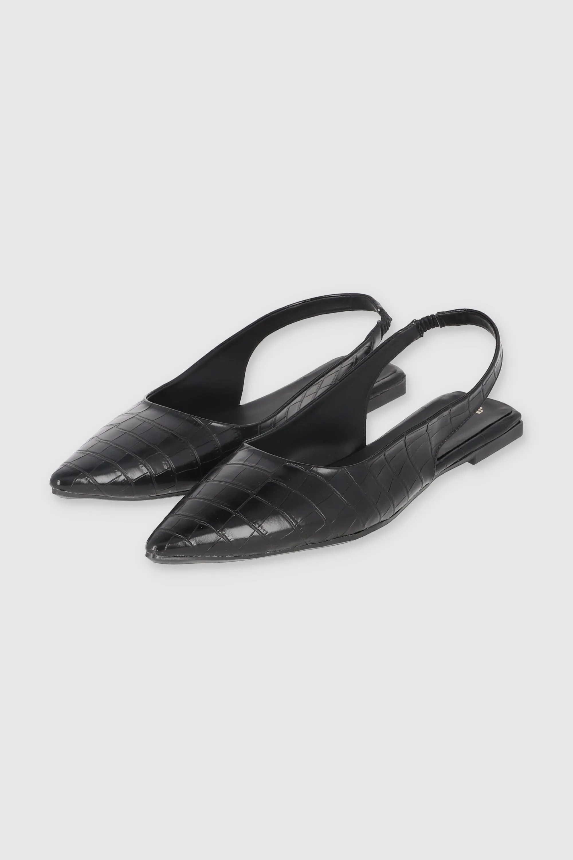 Flat Pointy Croco