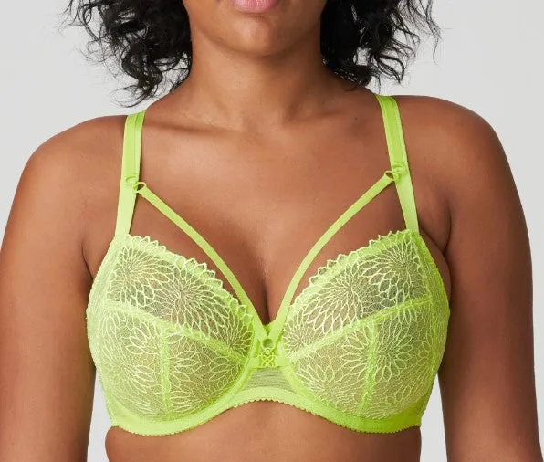 Sophora Bra 0163181-Fashion Colors
