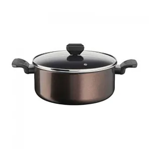 Tefal B5544602 G6 Easy Cook & Clean Stewpot 24Cm   Glass Lid