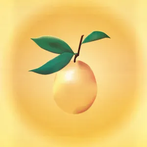 Yellow Fruit Tile Vinyl Sticker Set of 6 (140/140mm, Self-Adhesive)